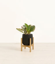 Load image into Gallery viewer, Black stand:bamboo
