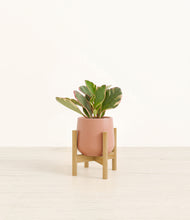 Load image into Gallery viewer, Calm Rose stand:bamboo
