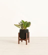 Load image into Gallery viewer, Black stand:walnut
