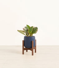 Load image into Gallery viewer, Deep Navy stand:walnut
