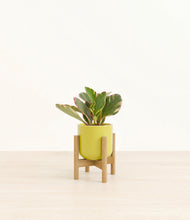 Load image into Gallery viewer, Key Lime Yellow stand:bamboo
