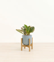 Load image into Gallery viewer, Misty Blue stand:bamboo
