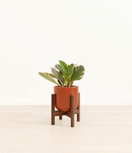 Load image into Gallery viewer, Glossy Red stand:walnut
