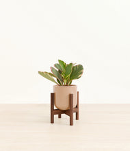 Load image into Gallery viewer, Glossy Pink stand:walnut
