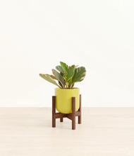 Load image into Gallery viewer, Key Lime Yellow stand:walnut

