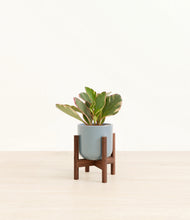 Load image into Gallery viewer, Misty Blue stand:walnut

