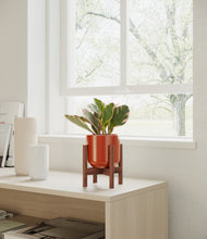 Load image into Gallery viewer, Glossy Red stand:walnut
