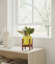Load image into Gallery viewer, Key Lime Yellow stand:walnut
