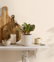 Load image into Gallery viewer, Natural Bamboo
