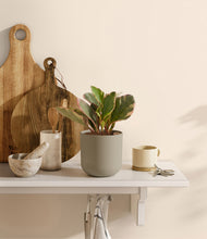Load image into Gallery viewer, Sage Green
