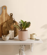 Load image into Gallery viewer, Sandy Pink
