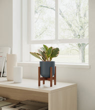 Load image into Gallery viewer, Iron Gray stand:walnut
