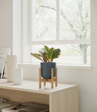 Load image into Gallery viewer, Iron Gray stand:bamboo
