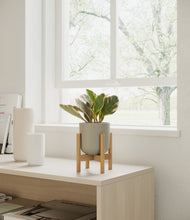 Load image into Gallery viewer, Sage Green stand:bamboo
