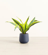Load image into Gallery viewer, Deep Navy*****Profile
