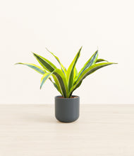 Load image into Gallery viewer, Iron Gray*****Profile
