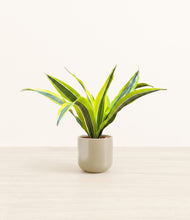 Load image into Gallery viewer, Sage Green*****Profile
