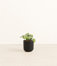 Load image into Gallery viewer, Stone Black*****Profile
