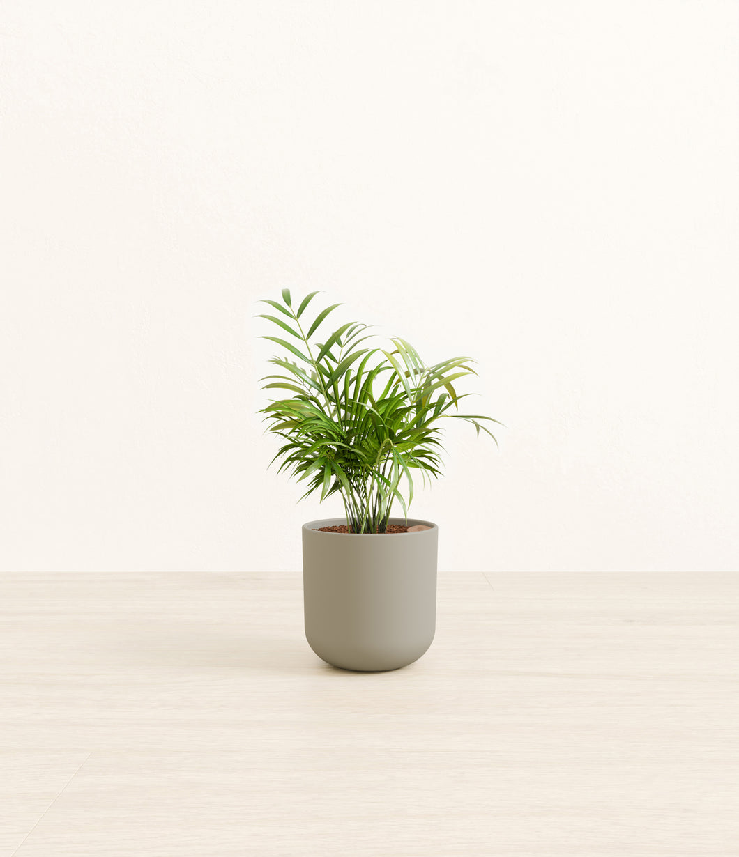 Sage Green*****Profile