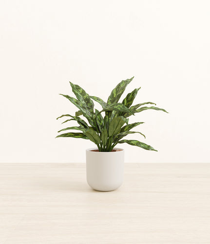 Natural Bamboo*****Profile