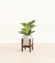 Load image into Gallery viewer, Natural Bamboo stand:walnut
