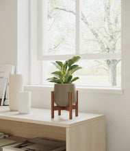 Load image into Gallery viewer, Olive stand:walnut
