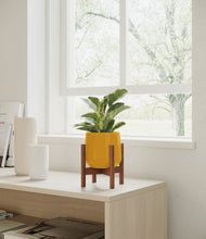 Load image into Gallery viewer, Mustard stand:walnut
