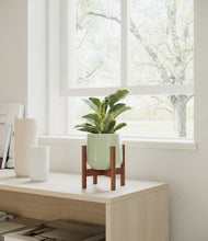 Load image into Gallery viewer, Turquoise stand:walnut
