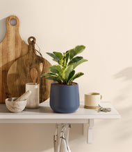 Load image into Gallery viewer, Deep Navy
