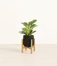 Load image into Gallery viewer, Black stand:bamboo
