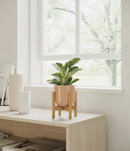 Load image into Gallery viewer, Glossy Pink stand:walnut
