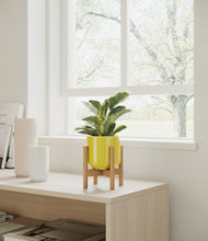 Load image into Gallery viewer, Key Lime Yellow stand:walnut
