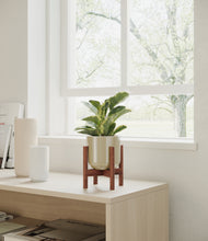Load image into Gallery viewer, Sage Green stand:walnut

