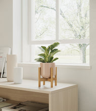 Load image into Gallery viewer, Sandy Pink stand:walnut
