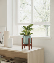 Load image into Gallery viewer, Reactive Aqua stand:walnut
