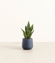 Load image into Gallery viewer, Deep Navy*****Profile
