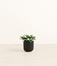 Load image into Gallery viewer, Stone Black*****Profile
