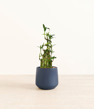 Load image into Gallery viewer, Deep Navy*****Profile

