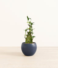 Load image into Gallery viewer, Deep Navy*****Profile
