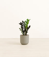Load image into Gallery viewer, Sage Green*****Profile
