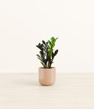Load image into Gallery viewer, Glossy Pink*****Profile
