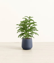 Load image into Gallery viewer, Deep Navy*****Profile
