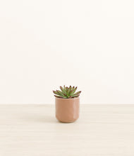 Load image into Gallery viewer, Hammered Peach Pink*****Profile
