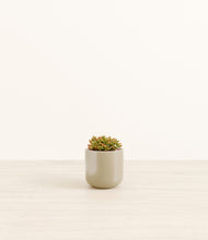 Load image into Gallery viewer, Sage Green*****Profile
