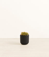 Load image into Gallery viewer, Stone Black*****Profile
