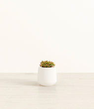 Load image into Gallery viewer, White*****Profile
