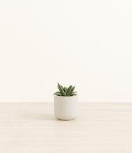 Load image into Gallery viewer, Cotton White*****Profile
