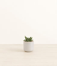 Load image into Gallery viewer, Snowdrift White*****Profile
