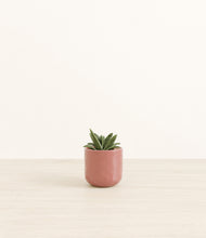 Load image into Gallery viewer, Hammered Rose Pink*****Profile
