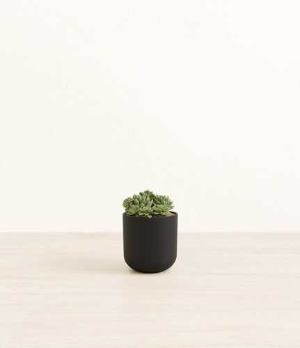 Stone Black*****Profile